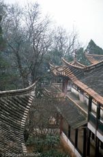 China (69 von 257).jpg